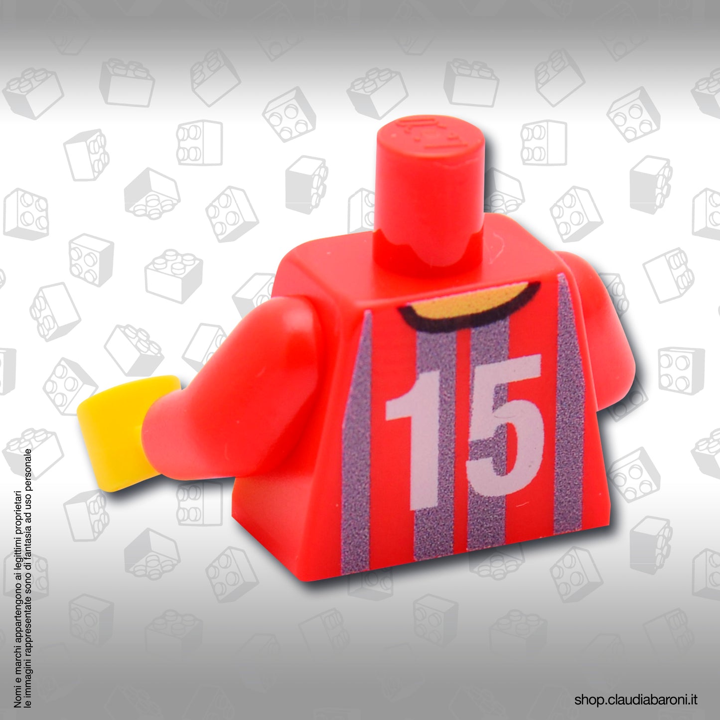 Torso maglia Cremonese 15